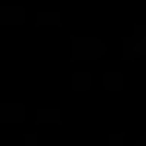 Meet your Posher, Zoom